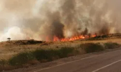 Adalet Bakanı Yılmaz Tunç duyurdu! "Yangınlarda şu ana kadar 17 şüpheli gözaltına alınmıştır"