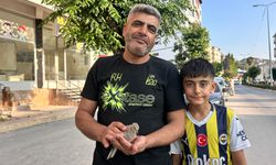 Yavru kumruyu kurtarmak için seferber oldu! Vatandaşın çabası takdir topladı