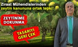 Ziraat Mühendislerinden zeytin kanununa ortak tepki! Zeytinime dokunma, tasarıyı geri çek