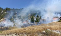 Antalya'daki orman yangınlarında sevindiren haber geldi