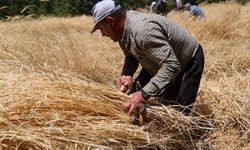 Adana’nın bu ilçesi teknolojiden uzak duruyor! Gençler gitti yaşlılar kaldı
