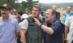 AFAD’tan yangın açıklaması