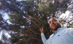 Ağaç gölgesinde ürküten manzara! Fareyi yutmaya çalışan yılanla göz göze geldi
