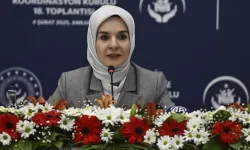 Aile ve Sosyal Hizmetler Bakanı Mahinur Özdemir Göktaş açıkladı! Programa 2.7 milyar lira kaynak aktarıldı