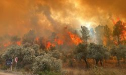 Meteorolojiden Antalya'ya kritik uyarı... Antalya'da orman yangınları riski tavan yapacak