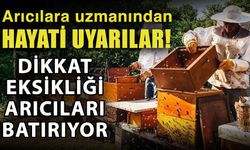 Arıcılara uzmanından hayati uyarılar! Dikkat eksikliği arıcıları batırıyor