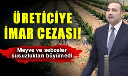 Üreticiye imar cezası! Meyve ve sebzeler susuzluktan büyümedi