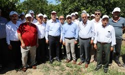 Tarım sorun yumağına döndü.... Tarımda deprem yaşanıyor