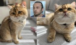 Bir vatandaşın ‘Kedi tüyünden hayatını kaybetti’ iddiasına ilişkin açıklama