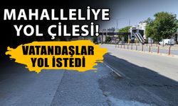 Mahalleliye yol çilesi! Vatandaşlar yol istedi