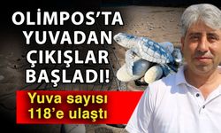 Olimpos’ta yuvadan çıkışlar başladı! Yuva sayısı 118’e ulaştı