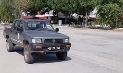Dilek Yarımadası Milli Park’ta yaban domuzlarıyla etkin mücadele devam ediyor