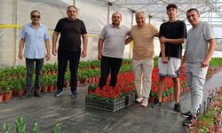 Antalya firması Azerbaycan’da tarih yazdı! Domates ve biberde virüs tarih oldu