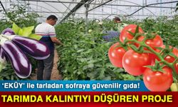 ‘EKÜY’ ile tarladan sofraya güvenilir gıda! Tarımda kalıntıyı düşüren proje