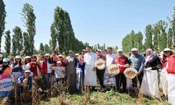Gençler hasat etkinliği ile üretim süreçlerini yakından deneyimliyor