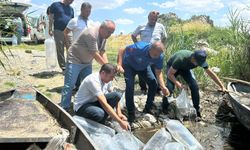 Gölhisar Gölü ve Yapraklı Barajı’na 5 bin yayın ve sazan balığı bırakıldı