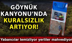 Göynük Kanyonu’nda kuralsızlık artıyor! Yabancılar temizliyor yerliler mahvediyor