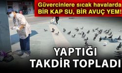 Güvercinlere sıcak havalarda bir kap su, bir avuç yem! Yaptığı takdir topladı