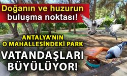 Doğanın ve huzurun buluşma noktası! Antalya’nın o mahallesindeki park vatandaşları büyülüyor!