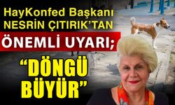 HayKonfed Başkanı Nesrin Çıtırık’tan önemli uyarı; “Döngü büyür”