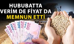Hububatta verim de fiyat da memnun etti