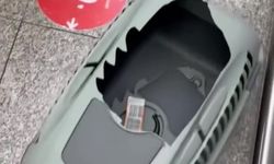 Uçağın kargo bölümüne verdiği evcil hayvanlarını teslim alınca çılgına döndü