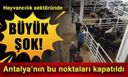 Hayvancılık sektöründe büyük şok! Antalya’nın bu noktaları kapatıldı