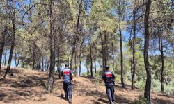 Jandarmadan ‘orman’ nöbeti devam ediyor