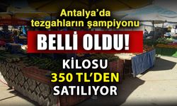 Antalya’da tezgahların şampiyonu belli oldu! Kilosu 350 TL’den satılıyor