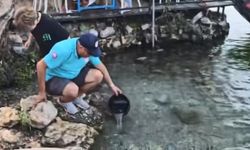 Kadın azmağına 35 bin levrek yavrusu bırakıldı