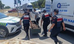 Kanserle savaşını kazandı, trafikte hayatını kaybetti