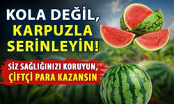 Kola değil, karpuzla serinleyin! Siz sağlığınızı koruyun, çiftçi para kazansın