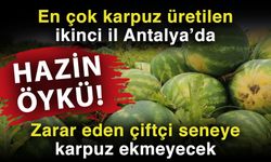 En çok karpuz üretilen ikinci il Antalya’da hazin öykü! Zarar eden çiftçi seneye karpuz ekmeyecek