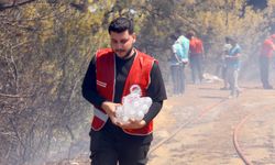 Kepez Belediyesi’nden Aksu ve Muratpaşa’daki yangınlara destek