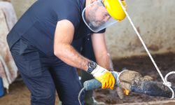 Büyükşehir’den nefes aldıran hamle! Besicilere destek