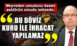 Meyveden umudunu kesen sektörün umudu sebzede; Bu döviz kuru ile ihracat yapılamaz
