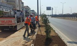 Manavgat’ta bu proje bekleniyordu! Manavgat Belediyesi çalışmalara başladı