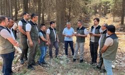 Mersin Orman Bölge Müdürü Gülnar'daki sahalarda incelemelerde bulundu