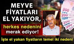 Meyve fiyatları el yakıyor, herkes nedenini merak ediyor! İşte el yakan fiyatların temel iki nedeni
