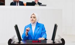Milletvekili Ün; "Vahşi madencilik kar dışında hiçbir değeri tanımıyor"