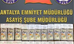 MİT görevlisi kılığına girip 10 milyonluk dolandırıcılık yapacaktı, suçüstü yakalandı