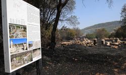 Muğla'da antik kent alev alev yandı