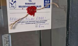 Aslanın kaçtığı hayvanat bahçesi mühürlendi