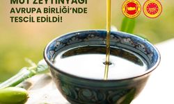 Mut zeytinyağı ve Kırkağaç kavununa AB'den coğrafi işaret tescili