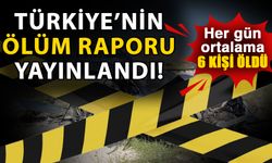 Trafik kazaları can alıyor! Şok eden raporun ilk sırasında sürücü kusuru var