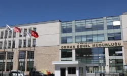 Orman Genel Müdürlüğü’nden yetersiz mücadele iddialarına yanıt