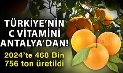 Türkiye’nin C vitamini Antalya’dan! 2024’te 468 Bin 756 ton üretildi