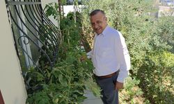 Muhtarın çabası, mahalleye nefes aldırdı