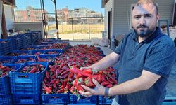 Salça yapmanın yolları