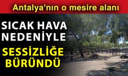 Antalya'nın o mesire alanı sıcak hava nedeniyle sessizliğe büründü